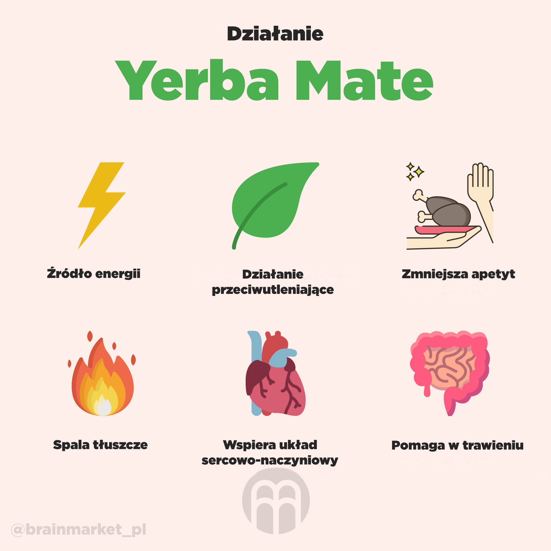 yerba_mate_ucinky_CZ_ifografika